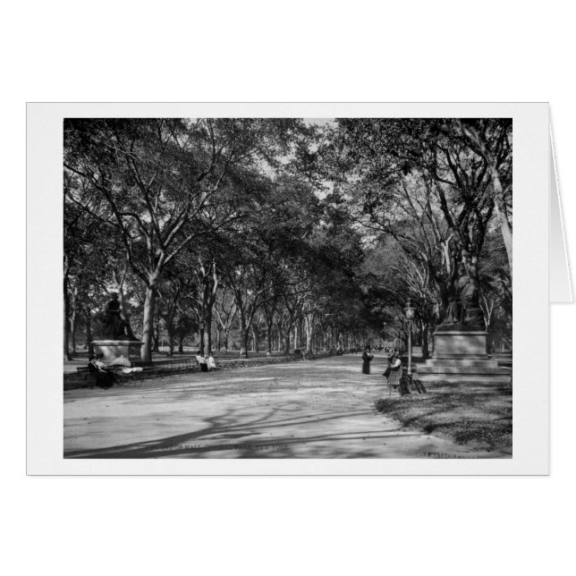 Het winkelcentrum in het centrale park in New York (Voorkant Horizontaal)