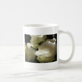 Het wit nam de BloemenTuinen van het Lot van Koffiemok