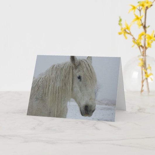 Het Wit van de winter Kaart (Gele Bloem)