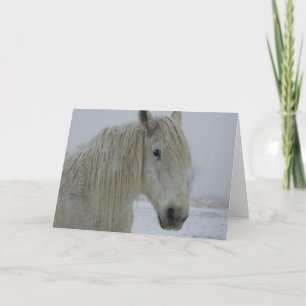 Het Wit van de winter Kaart