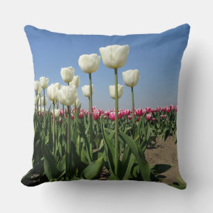 Het witte en Roze Sierkussen van het Gebied van