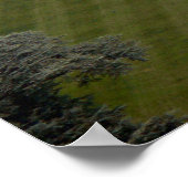 Het Witte Huis - Zuidelijke Facade Poster (Hoek)