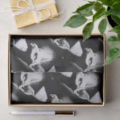 Het witte Kat Pet Black met haarloze kreeft Tissuepapier (Geschenk)