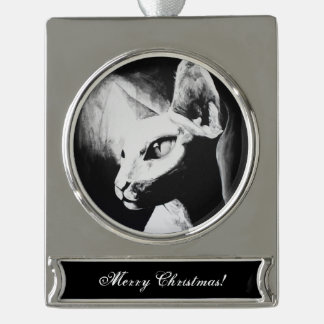Het witte Kat Pet Black met haarloze kreeft Verzilverd Banner Ornament