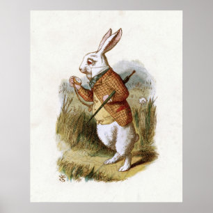 Het witte konijn - Alice in Wonderland Poster