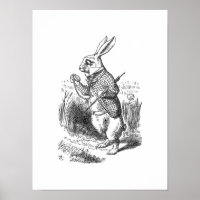 Het witte konijn