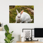 Het witte konijn poster (Thuiskantoor)