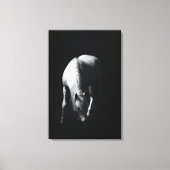 Het witte paard canvas afdruk (Voorkant)