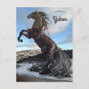 Het witte paard in Whitehorse Yukon Canada Briefkaart