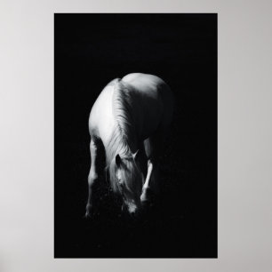Het witte paard poster
