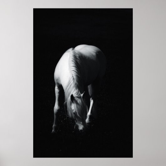 Het witte paard poster (Voorkant)