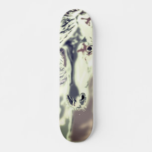 Het witte paard - skateboard