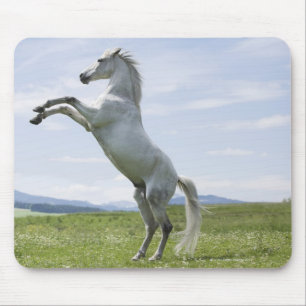 het witte paard springt op weide muismat