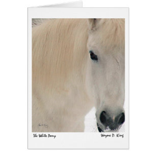 Het witte Pony