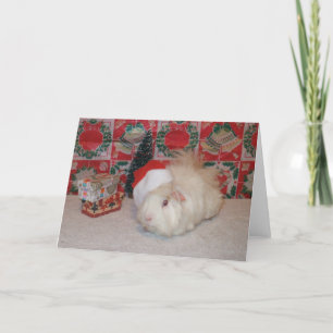 Het witte Varken van de Kerstman Feestdagen Kaart