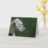 Het Witte Wenskaart van de Foto van de Hond van de Kaart (Gele Bloem)