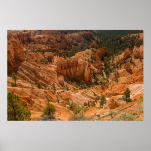 Het woestijnlandschap van Bryce Canyon National Pa Poster