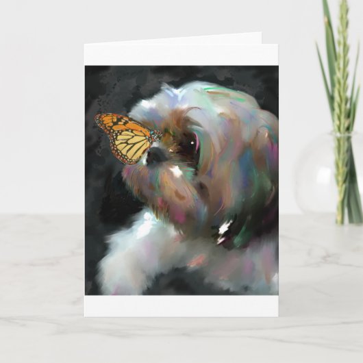 Het wonder.jpg kaart (Voorkant)