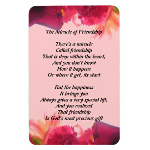 Het wonder van het vriendschap Magnet Magneet