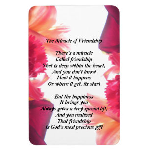 Het wonder van het vriendschap Magnet Magneet