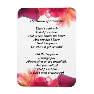 Het wonder van vriendschap magneet