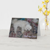 Het worden Oud? Kaart (Gele Bloem)