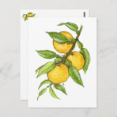 Het Yuzu Collectie Briefkaart (Voorkant / Achterkant)