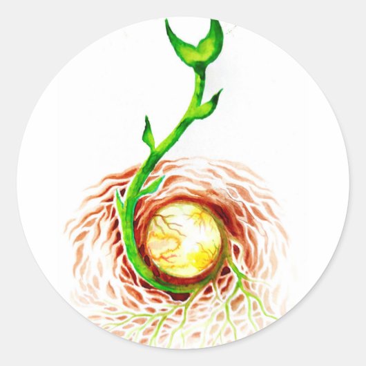 Het zaadje van het poster van het levenscanvas dru ronde sticker (Voorkant)