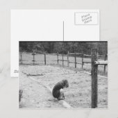 Het zaaien van de zaden van de liefde briefkaart (Voorkant / Achterkant)