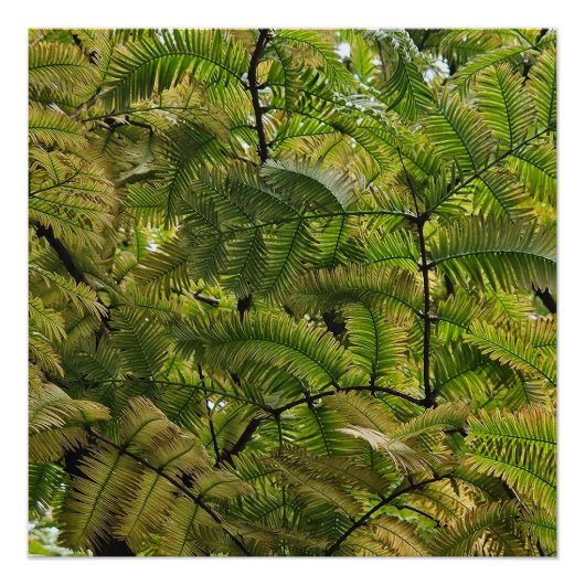 Het zachte overwint het harde perfect poster (Voorkant)