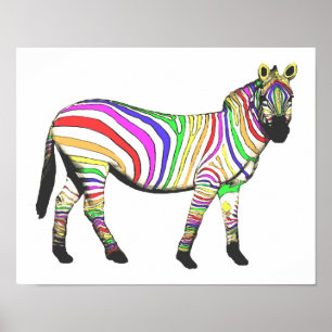 Het Zebra van de regenboog Poster
