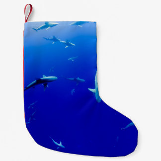 HET ZEE KLEINE KERSTSOK