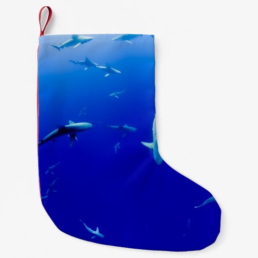 HET ZEE KLEINE KERSTSOK (Voorkant)