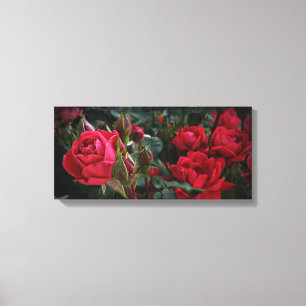 Het Zee van de liefde van Bloei (Rode Rozen & Canvas Afdruk