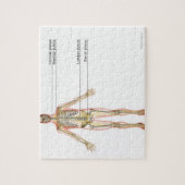 Het zenuwstelsel 2 legpuzzel (Verticaal)