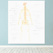 Het zenuwstelsel van het menselijk lichaam Lichaam Canvas Afdruk (Insitu (Houten vloer))
