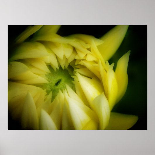 Het zich ontvouwen poster (Voorkant)