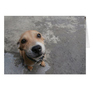 Het ziet er SUPER leuk uit!!!