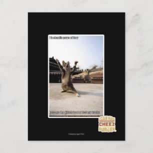 Het zijn shaolin poten van woede briefkaart