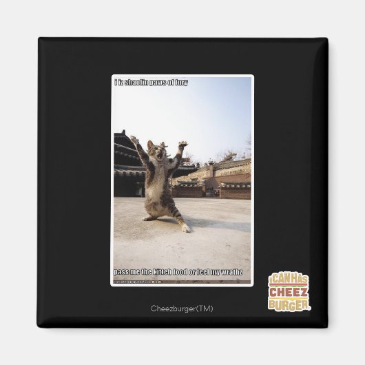 Het zijn shaolin poten van woede magneet (Voorkant)