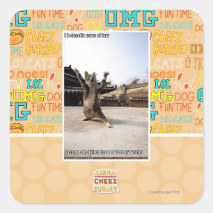 Het zijn shaolin poten van woede vierkante sticker