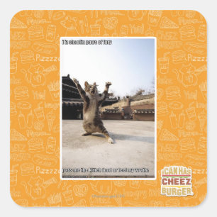 Het zijn shaolin poten van woede vierkante sticker