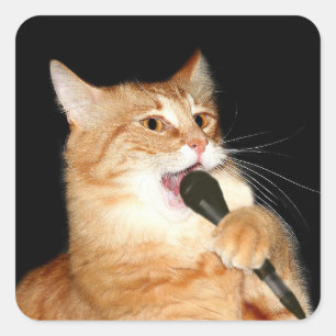 Het zingen kat vierkante sticker
