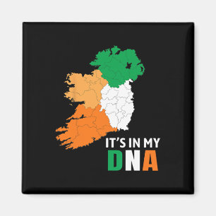 Het Zit In Mijn Dna Ierland Ierse Vlag Cadeaus Man Magneet