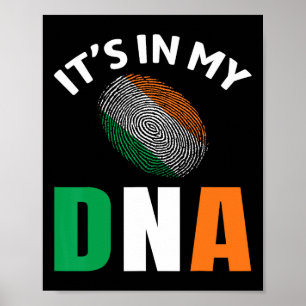 Het Zit In Mijn Dna Ierland Ierse Vlag Cadeaus Man Poster