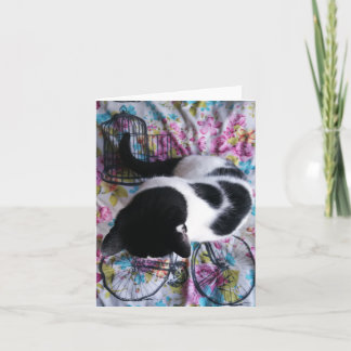 Het zitten van Mooie Kat Notecard Kaart