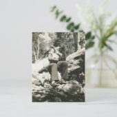 Het zoenen op de postkaart van de bossen (Staand voorkant)