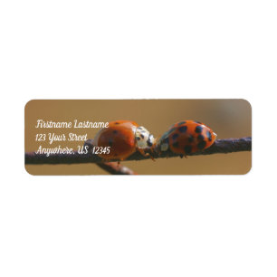 Het zoenen van Ladybugs op een adres van de Natuur Etiket