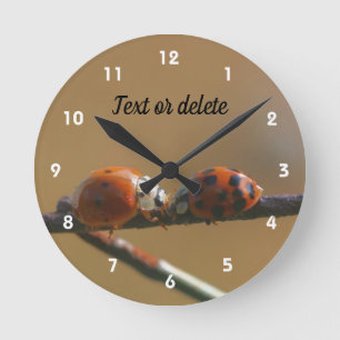 Het zoenen van Ladybugs op een gepersonaliseerd dr Ronde Klok