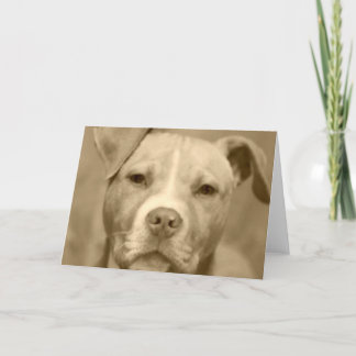 Het zoete Wenskaart van het Gezicht Staffie Kaart